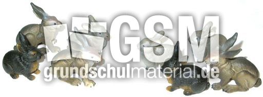 Hasen4+4.jpg